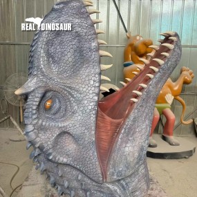 Fiberglass Dinosaur Factory - 3D Model Realistic Head Fossil