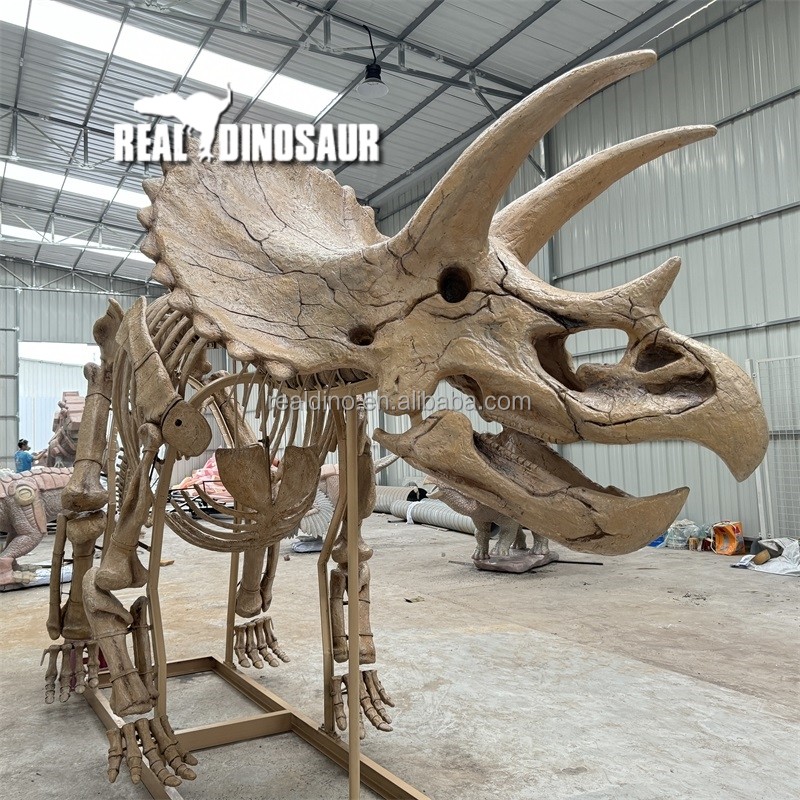 Dinosaur Skeleton Supplier - New Life-like Indoor Resin Model