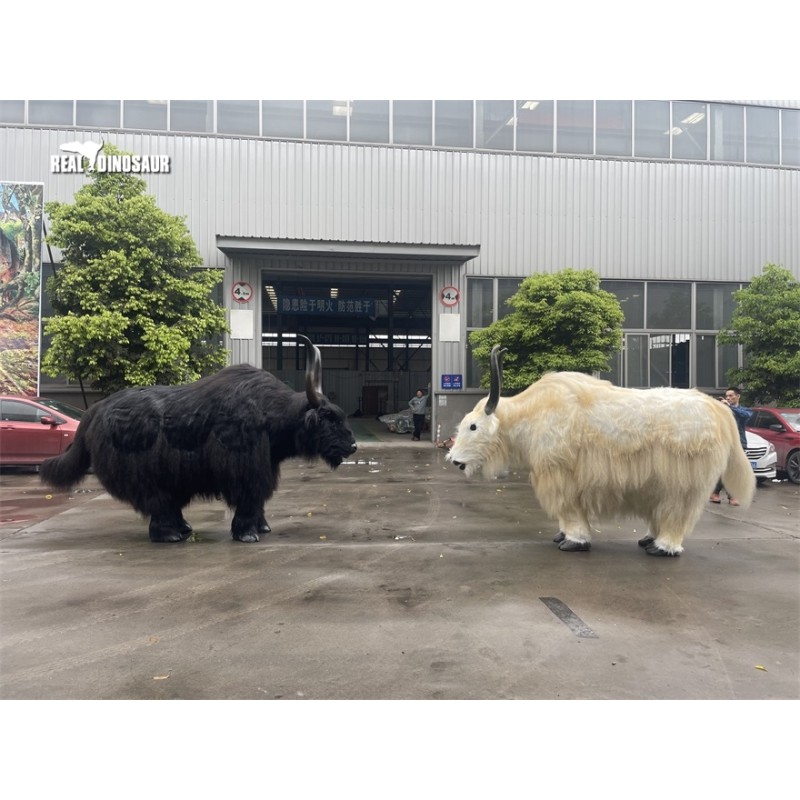 Animatronic Costume Supplier - Realistic Bull Fighting Show