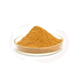 Organic Jujube Zizyphus Extract Powder Food Grade Jujube Fruit Powder
