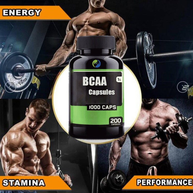Best Price Bcaa Energy Powder Supplement Drink Bcaa Amino Acids CAS 69430-36-0 2:1:1 Bulk Protein Bcaa Powder