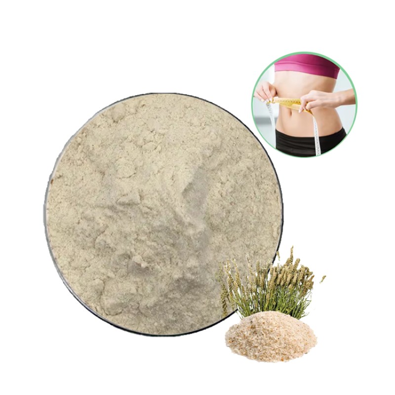 Psyllium Husk Fiber Powder Price Organic Supplement Psyllium Seed Husks Extract 95% 99% Bulk Psyllium Husk Powder