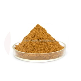 Organic Pure Rosmarinic Acid Rosemary Extract Powder 98% Rosmarinic Acid