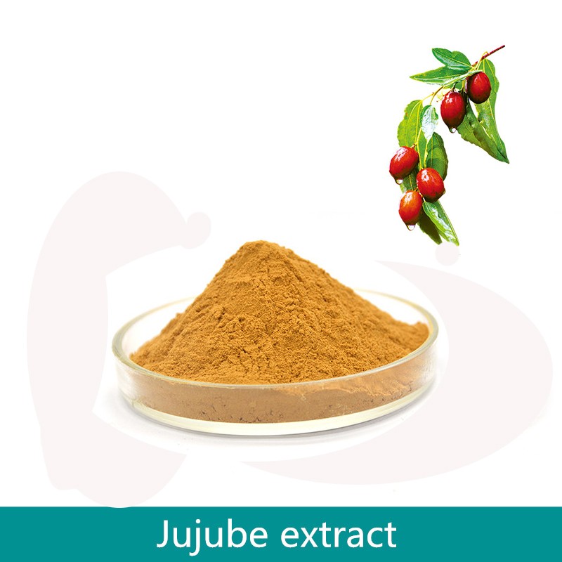 Organic Jujube Zizyphus Extract Powder Food Grade Jujube Fruit Powder