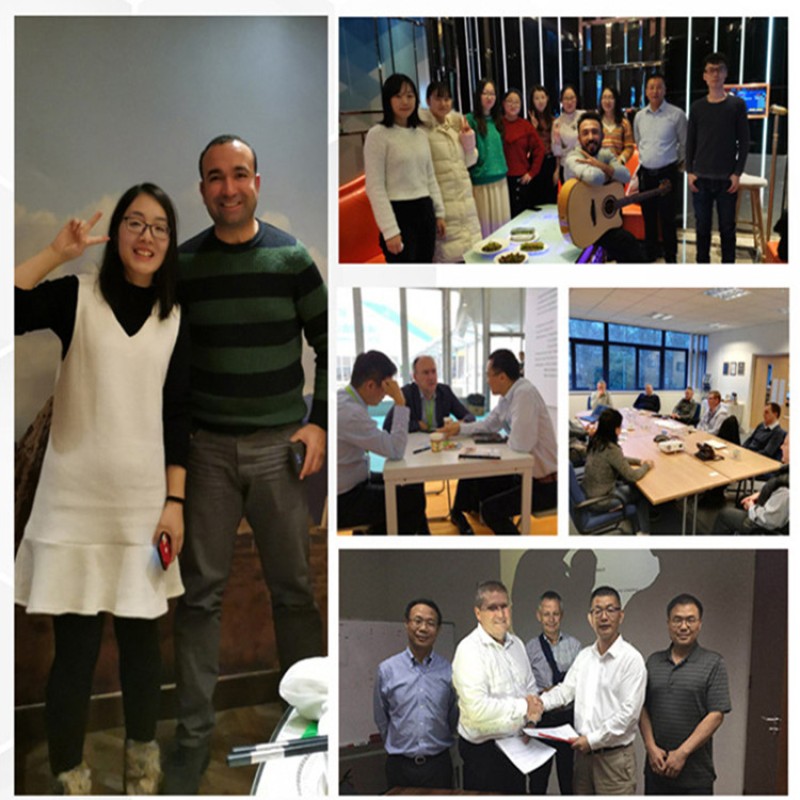 Factory Price Citrate Ammonium Iron CAS 1185-57-5 Iron Ammonium Citrate