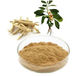 Supply Natural Organic Ashwagandha Root Extract Food Grade 5% 10% Ashwagandha Extract Powder