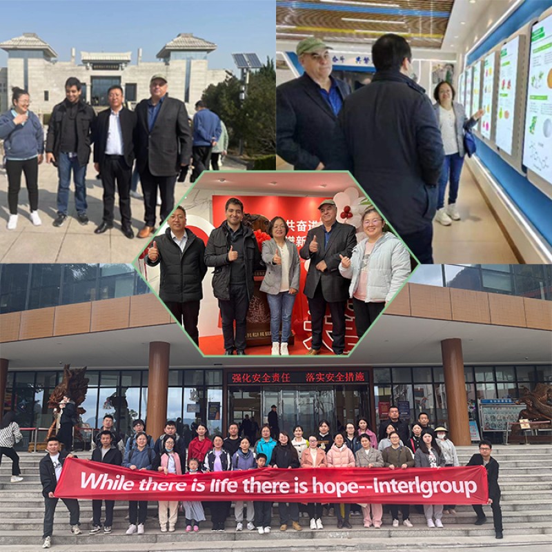 Halal Food Grade Low Acyl Gellan Gum Powder CAS 71010-52-1 Gellan Gum