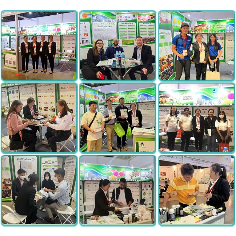 OEM Curcumin Turmeric Root Extract 95% Supplement Naturewise 95% Organic Curcumin Capsules