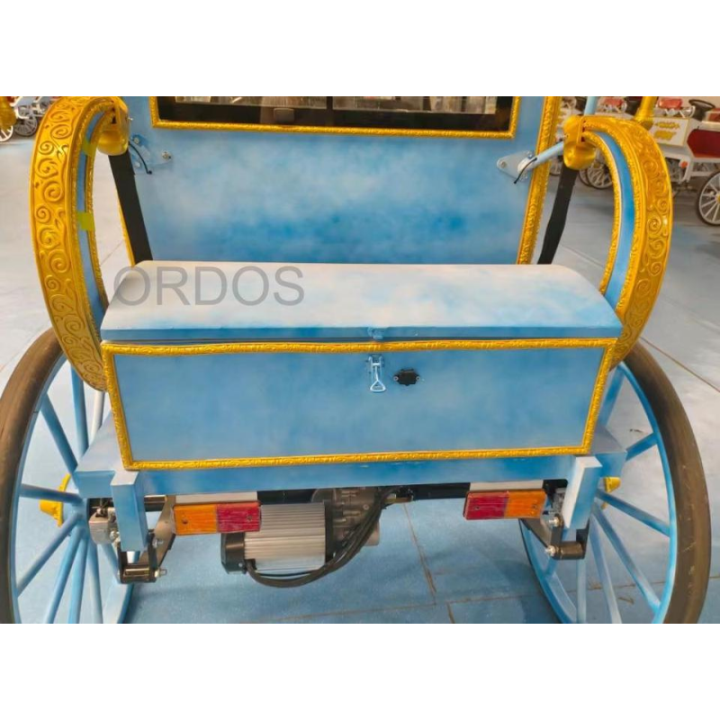 Royal Carriage Supplier - 2024 High Quality Royal Carriage Assorted