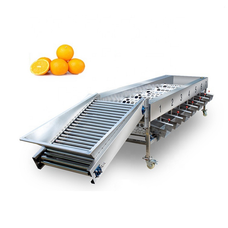 Processing Machine Supplier - Automatic Fruits Vegetables Processing