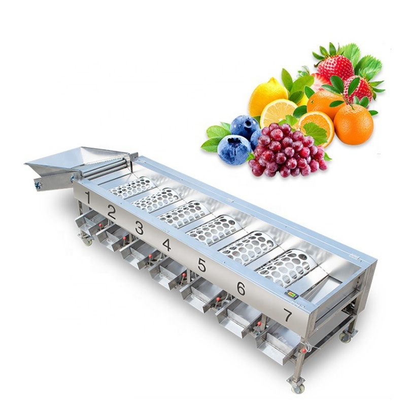 Processing Machine Supplier - Automatic Fruits Vegetables Processing