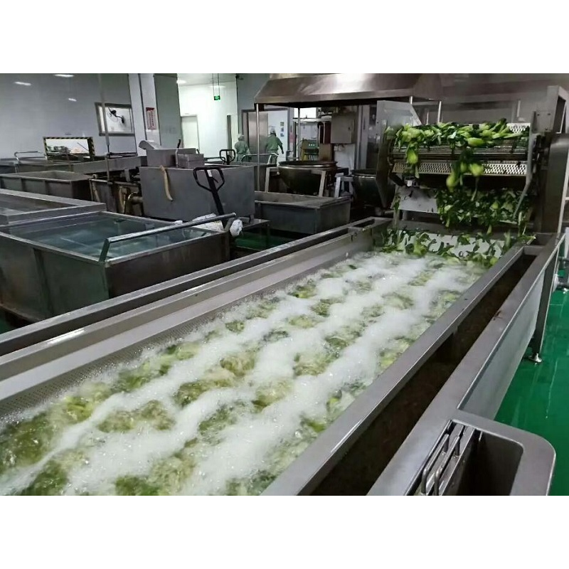 Air Bubble Washer Supplier - Tomato Mango Industrial Air Bubble