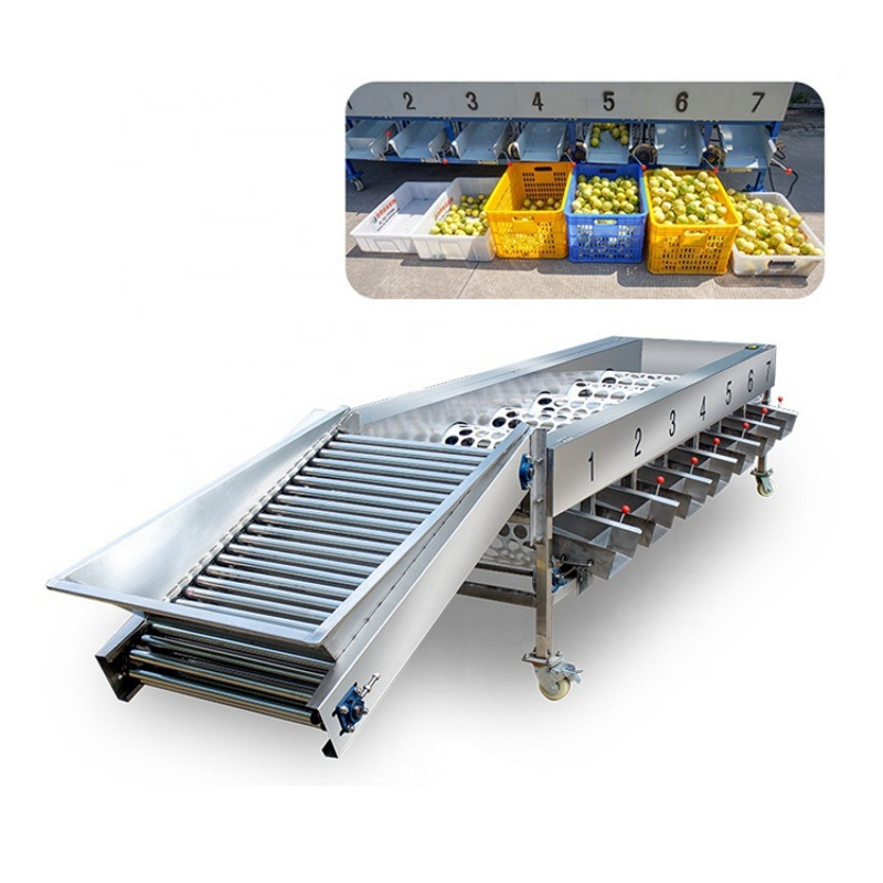 Processing Machine Supplier - Automatic Fruits Vegetables Processing