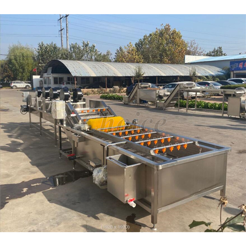 Fruit Washer Factory - Green Vegetable Fruit Washer Air Bubble