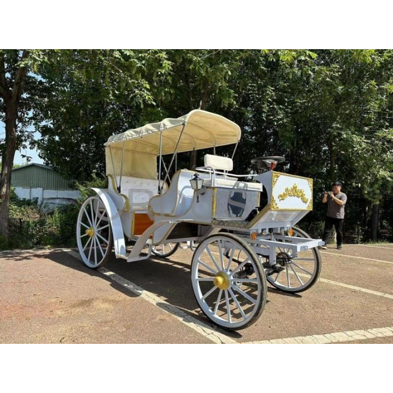 Electric Tricycle Factory - COC Certified Electric Tricycle Customized