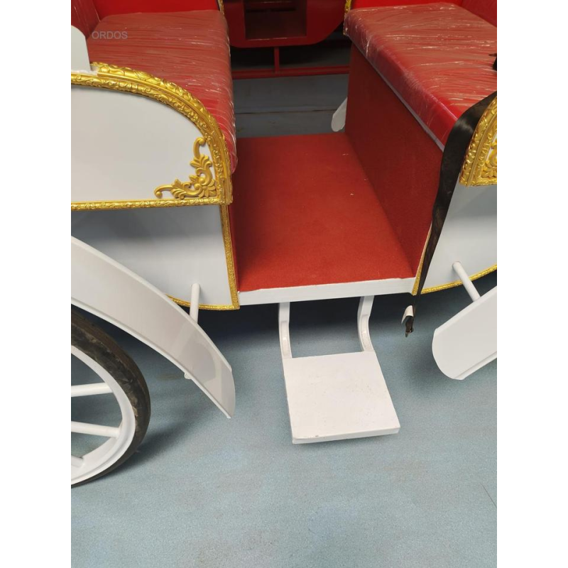 Sightseeing Carriage Manufacturer - Customized COC Electric Tricycle Sightseeing