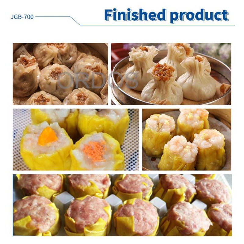 Dumpling Maker Manufacturer - Stainless Steel Dumpling Maker Semi-Automatic