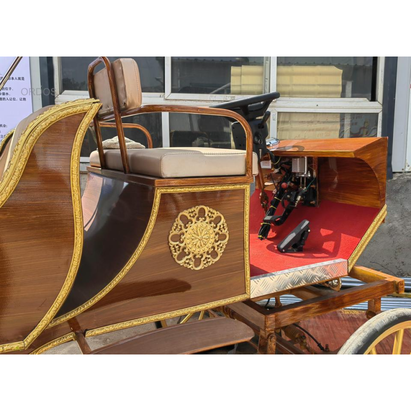 Customized Carriage Supplier - 2024 High Quality Customized Electric