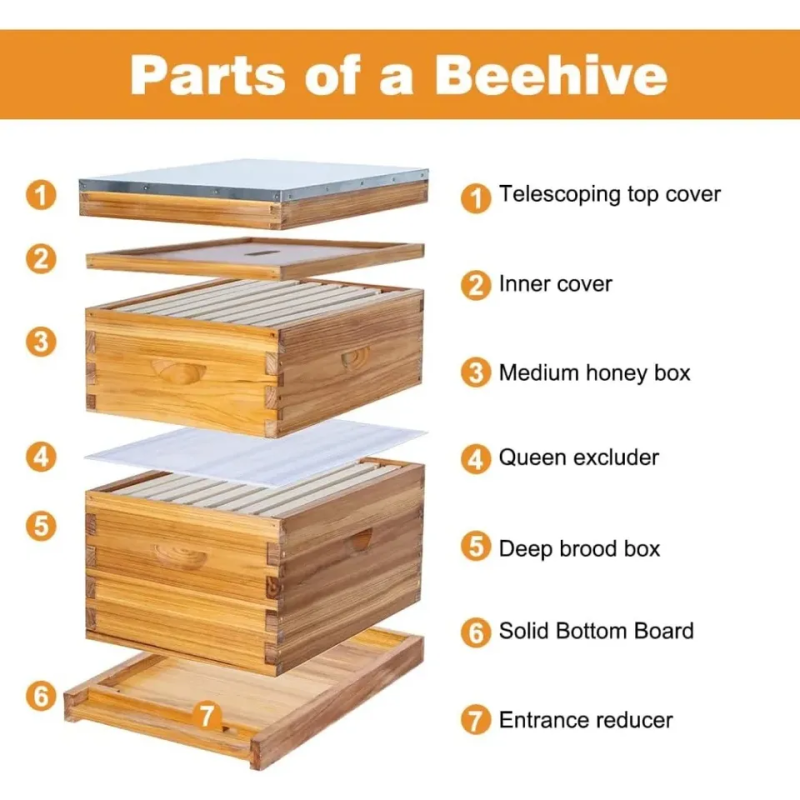 Beehive Kit Supplier - New Complete Langstroth Beehive Wood Kit