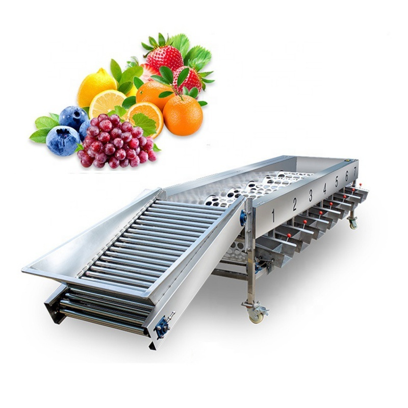 Processing Machine Supplier - Automatic Fruits Vegetables Processing