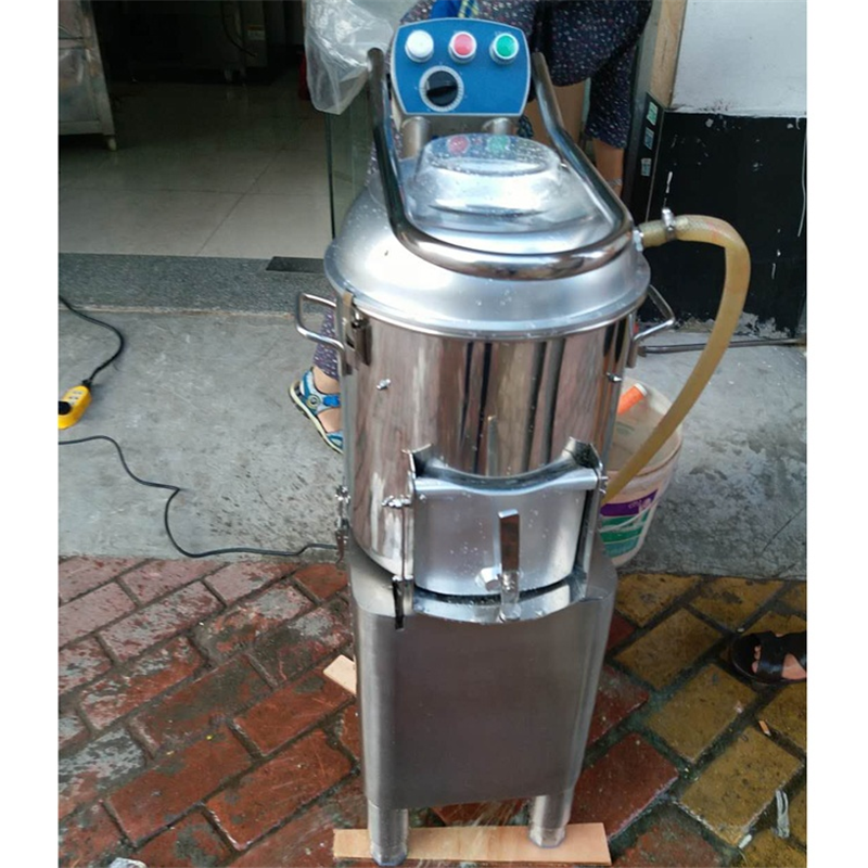 Vegetable Cleaning Machine Factory - Small Portable Vegetable Ginger