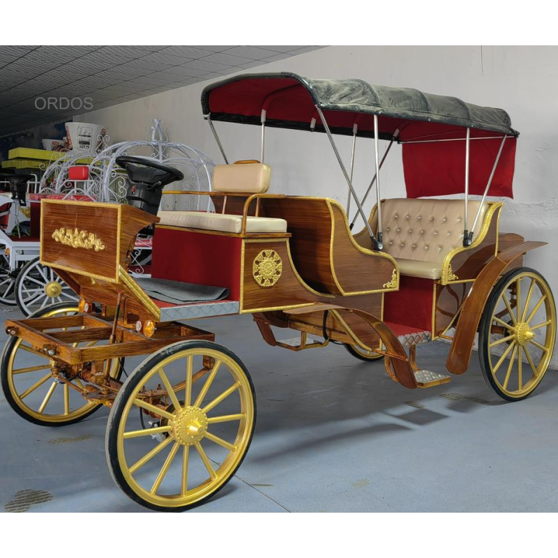 Customized Carriage Supplier - 2024 High Quality Customized Electric