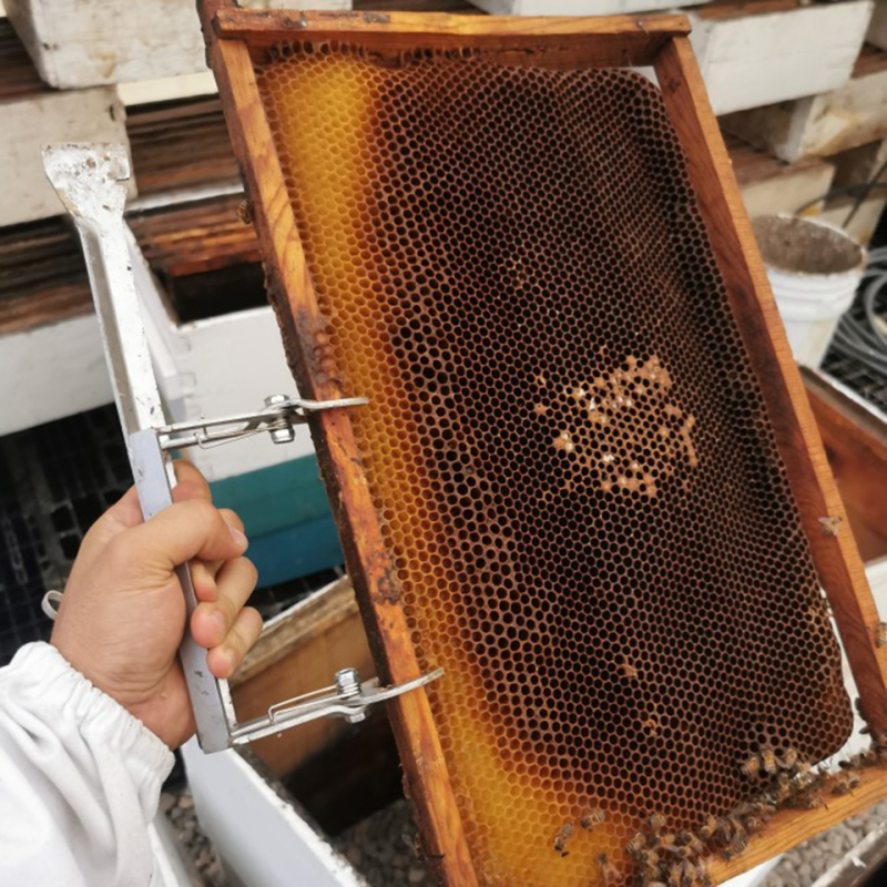 Beekeeping Tool Manufacturer - 1 Pcs Multi-Function Stainless Steel