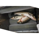 Meat Processing Machine