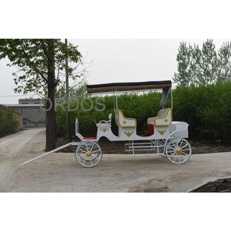 Touring Coach Factory - Electric Touring Coach Horse-Drawn Stagecoach