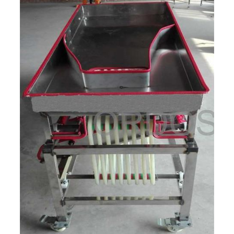 Size Grading Machine Manufacturer - Economical Mini Fruit Size Grading