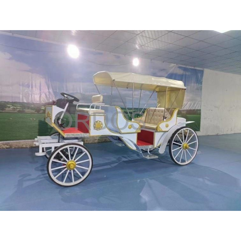 Electric Tricycle Factory - COC Certified Electric Tricycle Customized