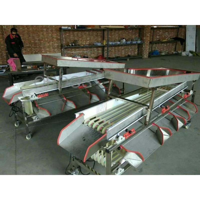 Size Grading Machine Manufacturer - Economical Mini Fruit Size Grading