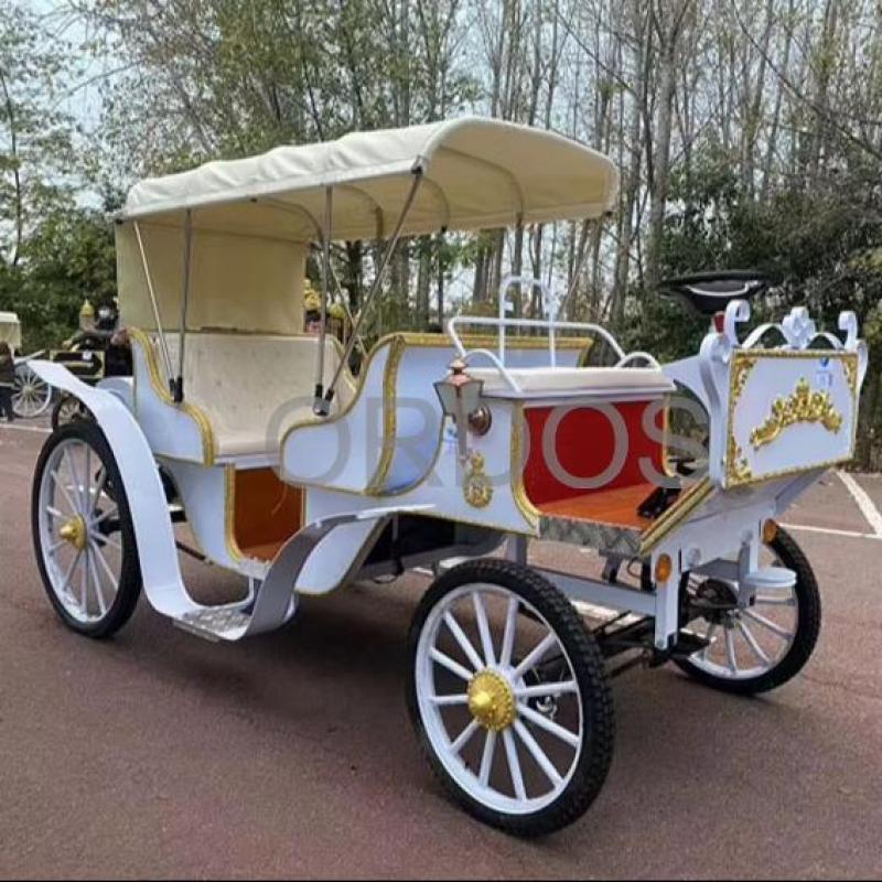 Electric Tricycle Factory - COC Certified Electric Tricycle Customized