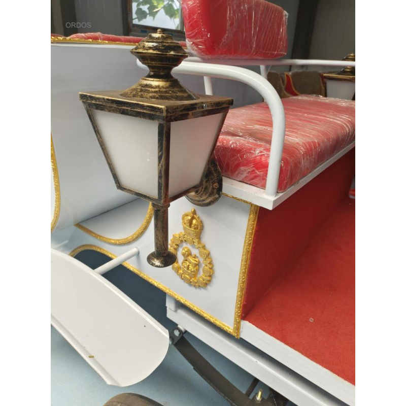 Sightseeing Carriage Manufacturer - Customized COC Electric Tricycle Sightseeing