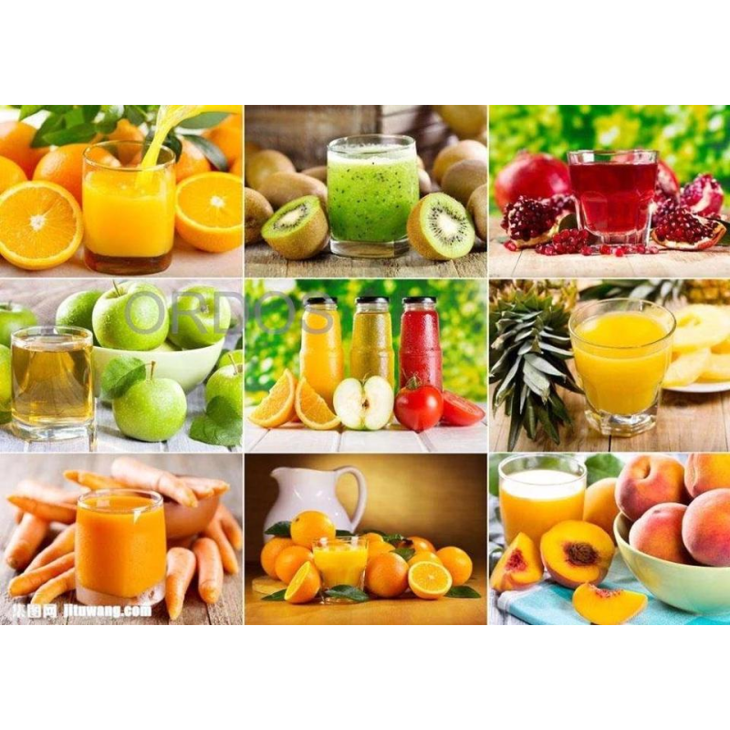 Orange Juicer Factory - Commercial Automatic Orange Juicer Extractor