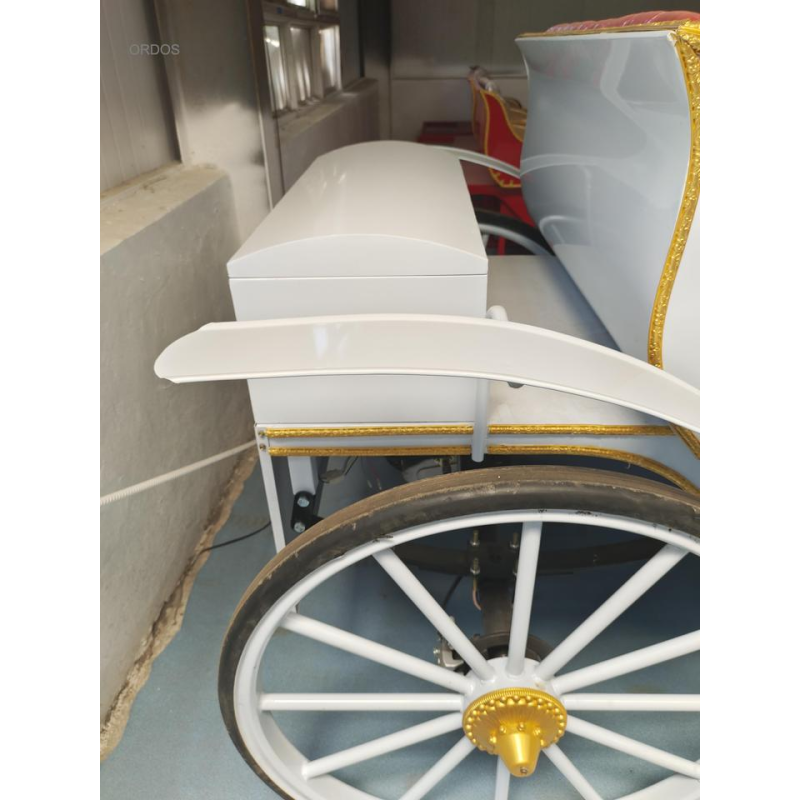 Sightseeing Carriage Factory - Factory Priced High Quality Customized