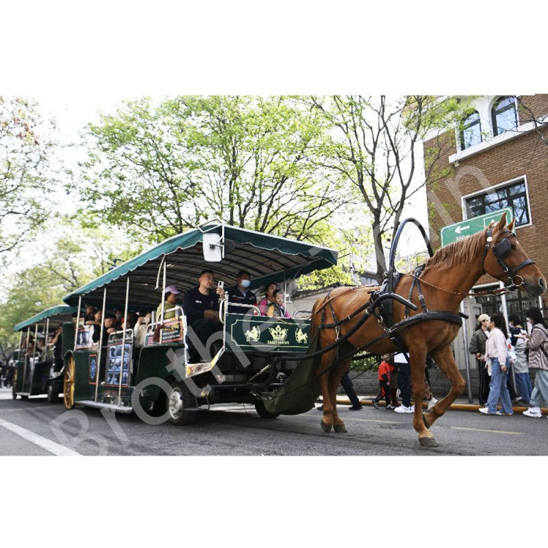 Electric Carriage Factory - 23 Seats Amusement Park Electric Sightseeing