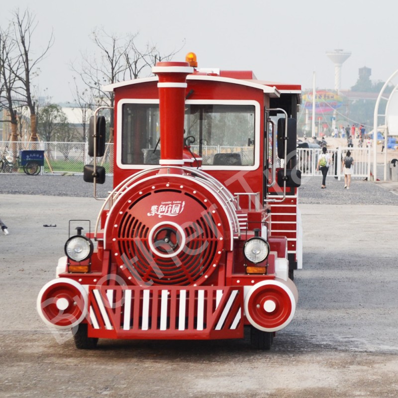 Style Electric Factory - Style Electric Sightseeing Train for Sale