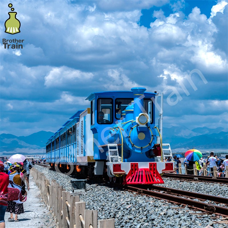 Wholesale Custom Supplier - Wholesale Custom Design Rail Train Tourist
