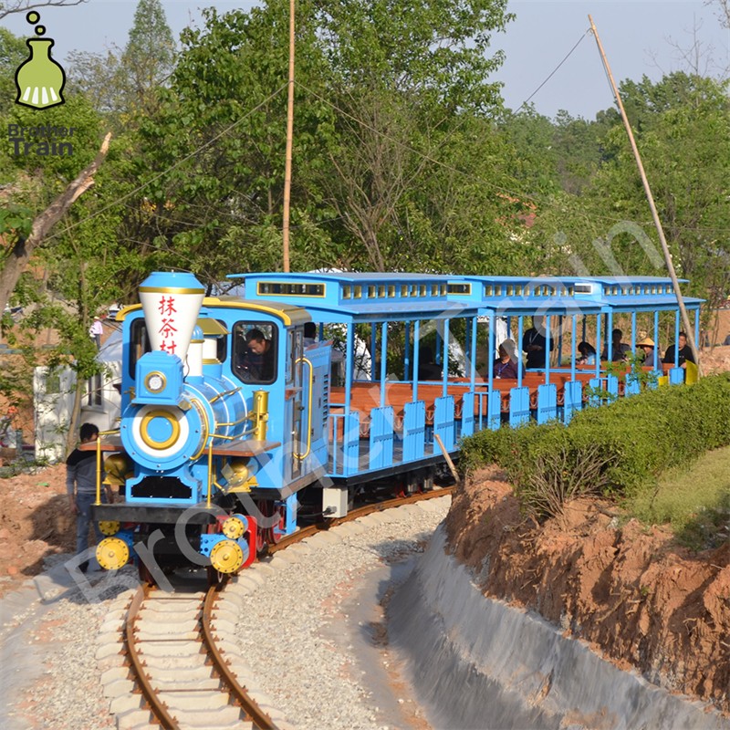 Big Capacity Manufacturer - Big Capacity Attraction Customized Tourist