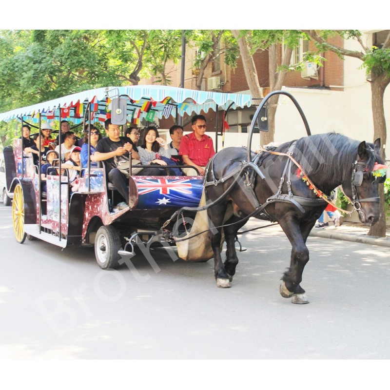 Theme Park Carriage Factory - High Quality Theme Park Cinderella Royal