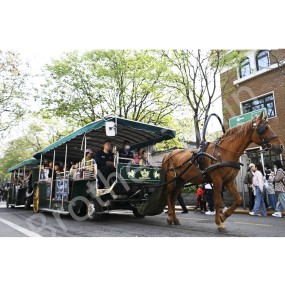 Battery Carriage Supplier - Best Quality Amusement Park Battery Operated