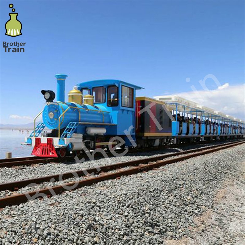 Big Capacity Manufacturer - Big Capacity Attraction Customized Tourist