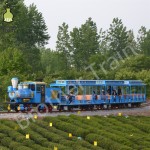 Track Tourist Train