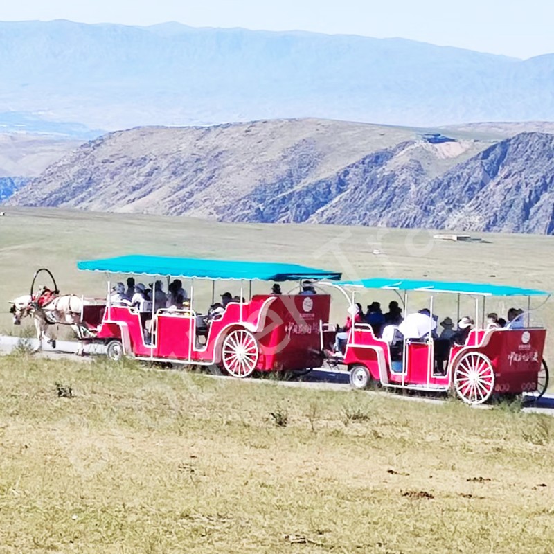 Sightseeing Cart Supplier - Sightseeing Cart for Sale Luxury Electric