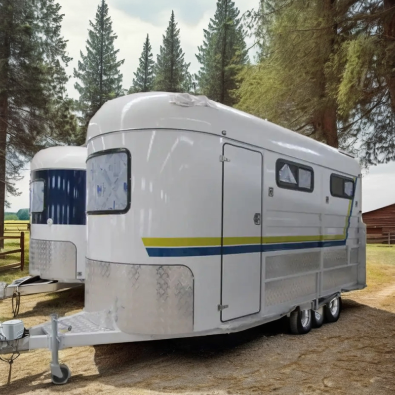 Horse Trailer Supplier - Straight Load 2-Horse Livestock Float