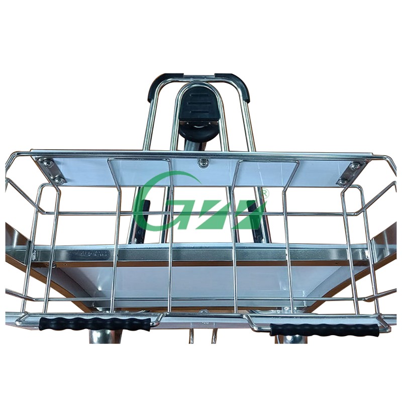 Airport Hand Cart Supplier - Stainless Steel 3-Wheel Passenger Luggage