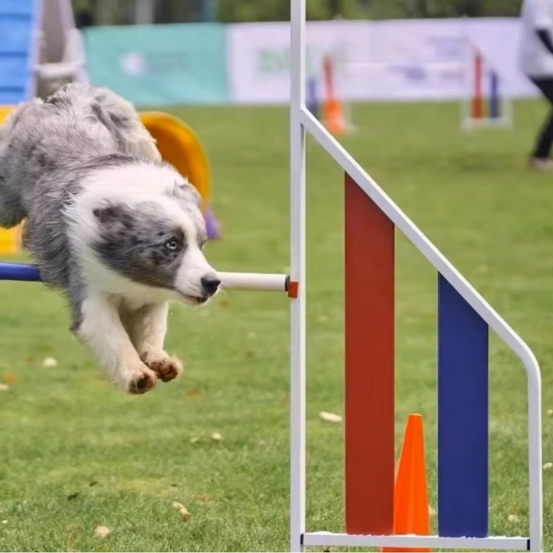 Dog Agility Jump Supplier - Aluminum Detachable Height Adjustable