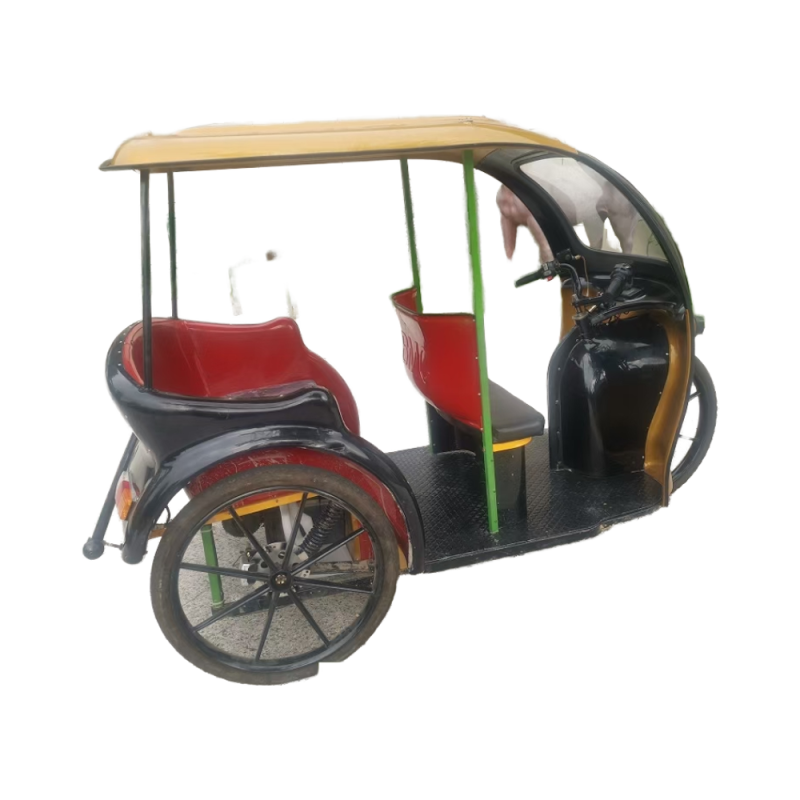 Electric Rickshaw Supplier - Tourism Passenger Tricycle Cart