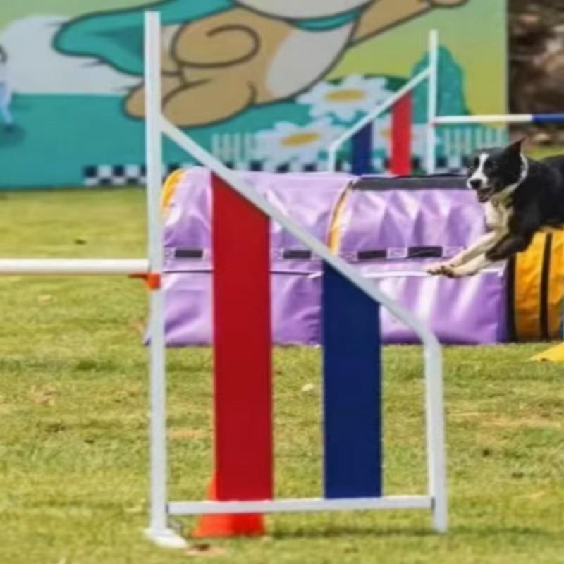 Dog Agility Jump Supplier - Aluminum Detachable Height Adjustable